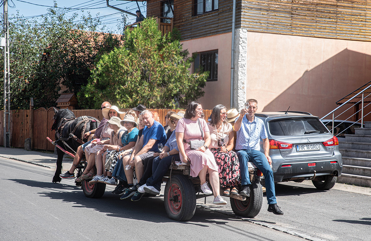Csípték a hagymát Madéfalván